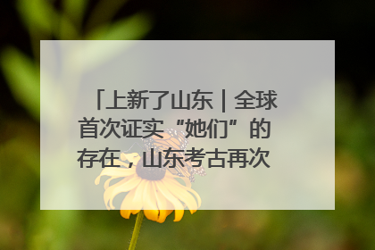 上新了山东｜全球首次证实“她们”的存在，山东考古再次震惊世界！
