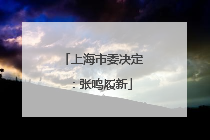上海市委决定：张鸣履新