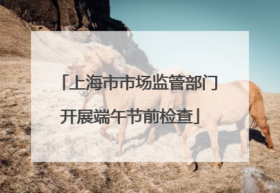 上海市市场监管部门开展端午节前检查