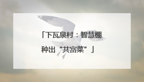 下瓦泉村：智慧棚种出“共富菜”