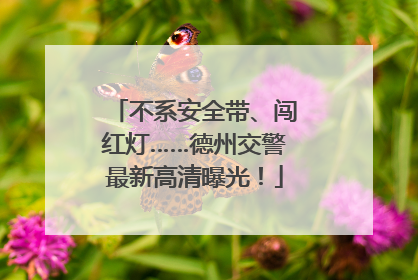 不系安全带、闯红灯……德州交警最新高清曝光！