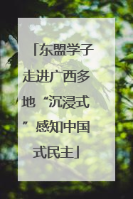 东盟学子走进广西多地“沉浸式”感知中国式民主