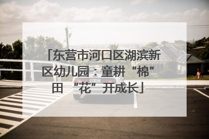 东营市河口区湖滨新区幼儿园：童耕“棉”田 “花”开成长
