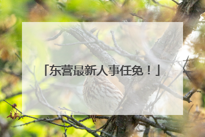 东营最新人事任免！