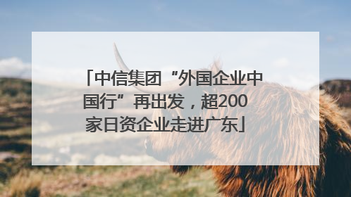 中信集团“外国企业中国行”再出发，超200家日资企业走进广东
