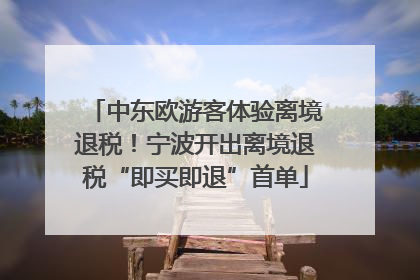 中东欧游客体验离境退税！宁波开出离境退税“即买即退”首单