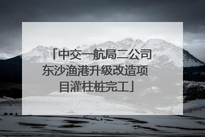 中交一航局二公司东沙渔港升级改造项目灌柱桩完工