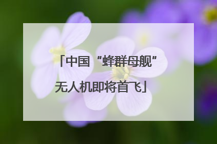 中国“蜂群母舰”无人机即将首飞