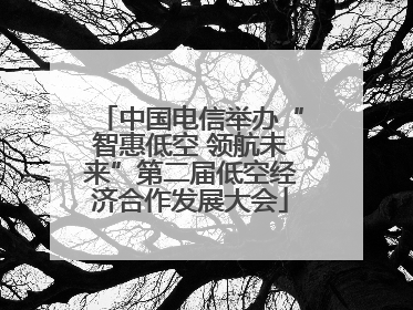 中国电信举办“智惠低空 领航未来”第二届低空经济合作发展大会
