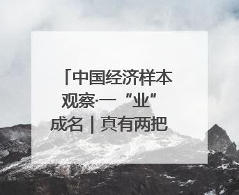 中国经济样本观察·一“业”成名｜真有两把刷子！“刷”出30亿级“颜值经济”