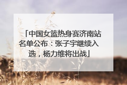 中国女篮热身赛济南站名单公布：张子宇继续入选，杨力维将出战