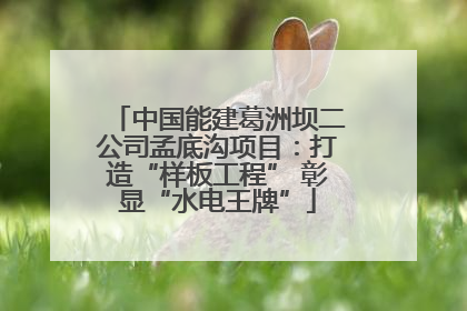 中国能建葛洲坝二公司孟底沟项目：打造“样板工程” 彰显“水电王牌”