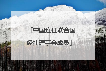 中国连任联合国经社理事会成员