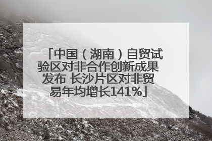 中国（湖南）自贸试验区对非合作创新成果发布 长沙片区对非贸易年均增长141%