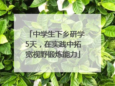 中学生下乡研学5天，在实践中拓宽视野锻炼能力