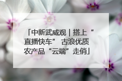 中新武威观｜搭上“直播快车” 古浪优质农产品“云端”走俏