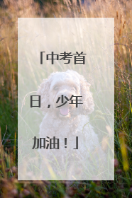 中考首日，少年加油！