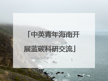 中英青年海南开展蓝碳科研交流
