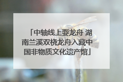 中轴线上耍龙舟 湖南兰溪双桡龙舟入藏中国非物质文化遗产馆