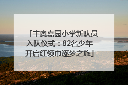 丰奥嘉园小学新队员入队仪式：82名少年开启红领巾逐梦之旅