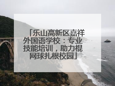 乐山高新区嘉祥外国语学校：专业技能培训，助力棍网球扎根校园