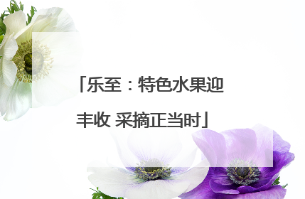 乐至：特色水果迎丰收 采摘正当时