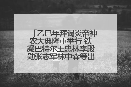 乙巳年拜谒炎帝神农大典隆重举行 铁凝巴特尔王忠林李殿勋张志军林中森等出席 孙伟主持