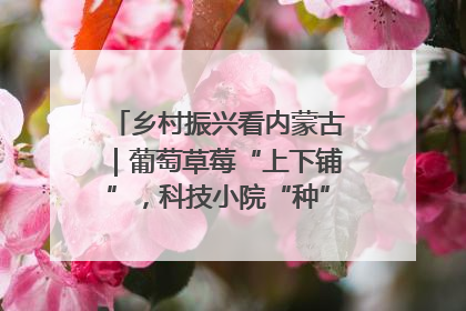 乡村振兴看内蒙古｜葡萄草莓“上下铺”，科技小院“种”出三倍效益
