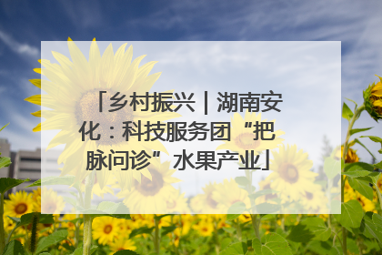乡村振兴｜湖南安化：科技服务团“把脉问诊”水果产业