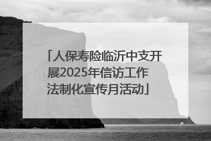 人保寿险临沂中支开展2025年信访工作法制化宣传月活动