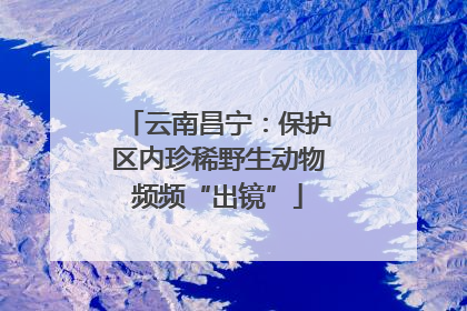 云南昌宁：保护区内珍稀野生动物频频“出镜”