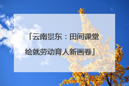 云南景东：田间课堂绘就劳动育人新画卷