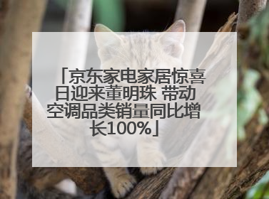 京东家电家居惊喜日迎来董明珠 带动空调品类销量同比增长100%