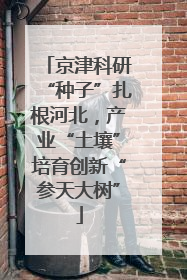 京津科研“种子”扎根河北，产业“土壤”培育创新“参天大树”