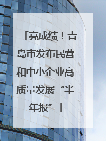 亮成绩！青岛市发布民营和中小企业高质量发展“半年报”