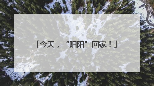 今天，“阳阳”回家！
