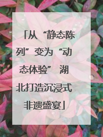 从“静态陈列”变为“动态体验” 湖北打造沉浸式非遗盛宴