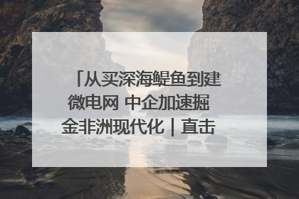从买深海鳀鱼到建微电网 中企加速掘金非洲现代化｜直击中非经贸博览会