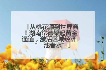 从桃花源到世界窗！湖南常德架起黄金通道，激活区域经济“一池春水”