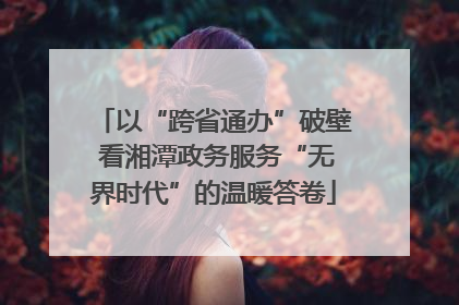 以“跨省通办”破壁 看湘潭政务服务“无界时代”的温暖答卷