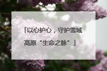 以心护心，守护雪域高原“生命之脉”