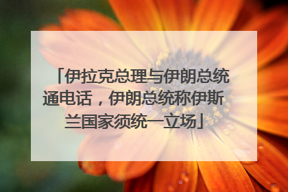 伊拉克总理与伊朗总统通电话，伊朗总统称伊斯兰国家须统一立场