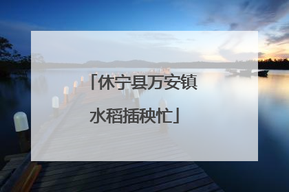 休宁县万安镇水稻插秧忙