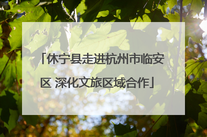 休宁县走进杭州市临安区 深化文旅区域合作