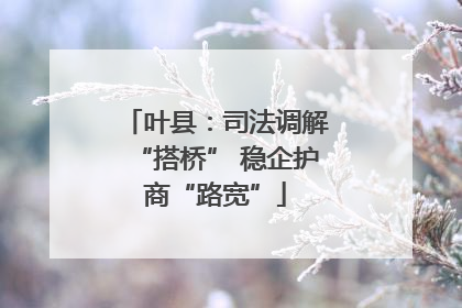 叶县：司法调解“搭桥” 稳企护商“路宽”
