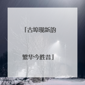 古埠现新韵 繁华今胜昔