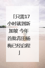 只需17小时就到新加坡 今年首批青田杨梅已经启程