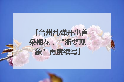台州乱弹开出首朵梅花，“浙婺现象”再度续写