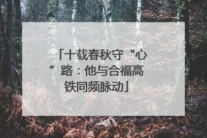 十载春秋守“心”路：他与合福高铁同频脉动
