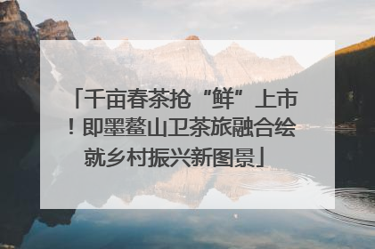 千亩春茶抢“鲜”上市！即墨鳌山卫茶旅融合绘就乡村振兴新图景